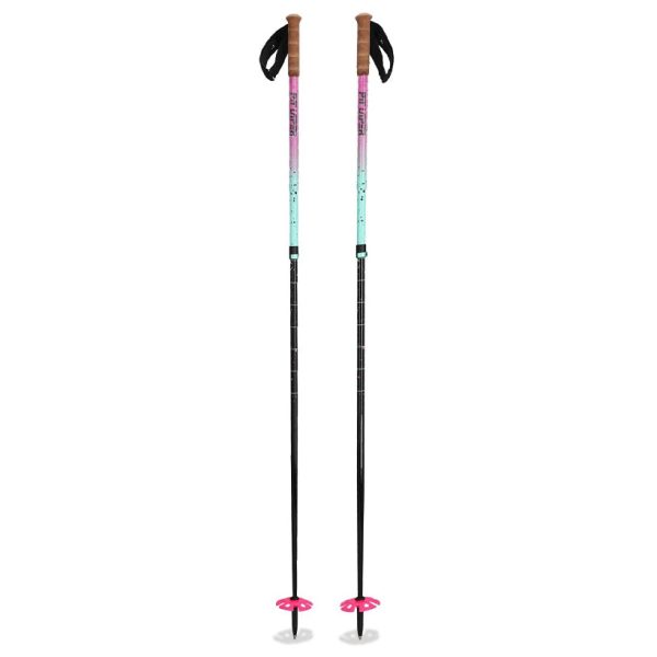 The Artificial Ski Poles